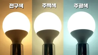 주광색 주백색 차이 비교 차이점_3