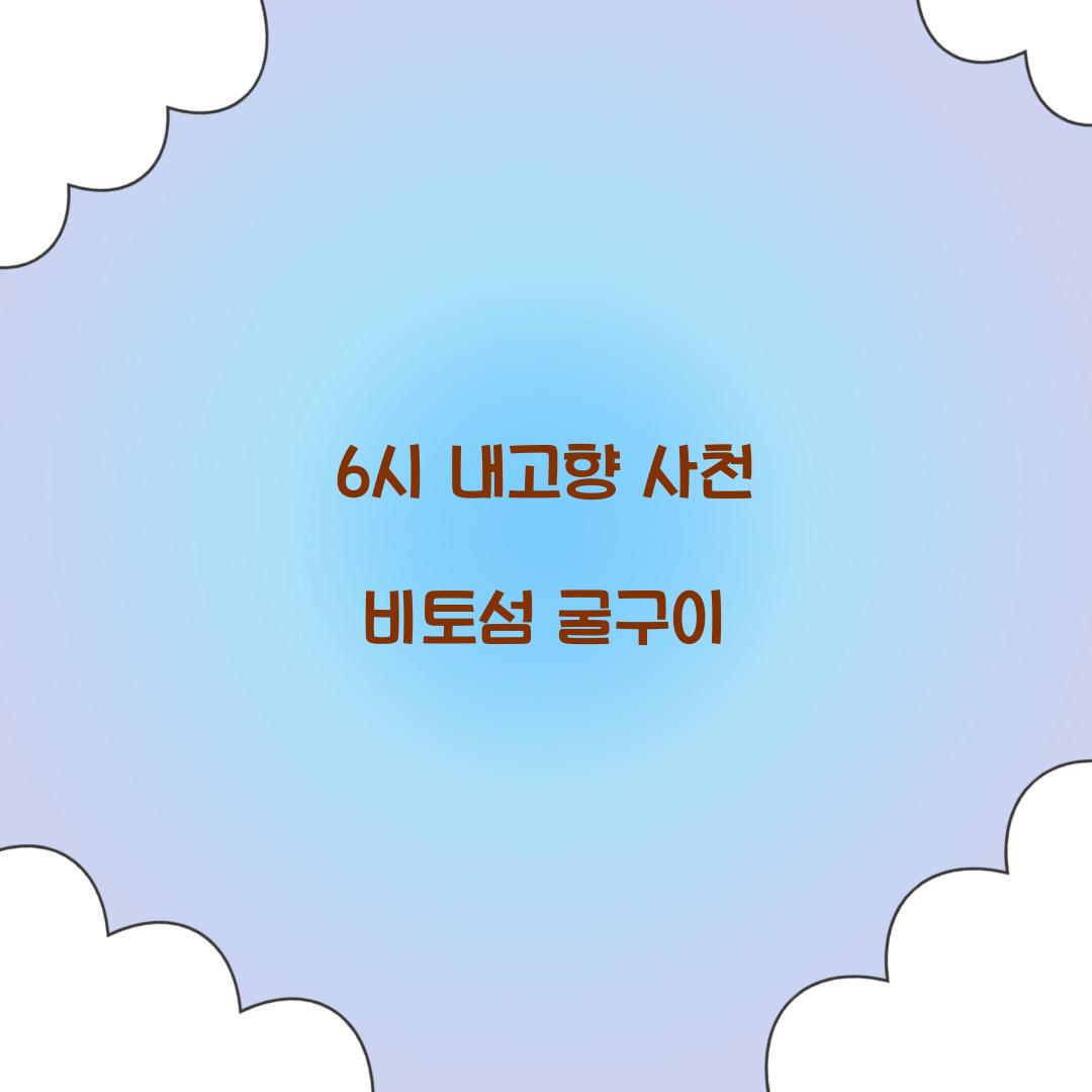 6시 내고향 사천 비토섬 굴구이