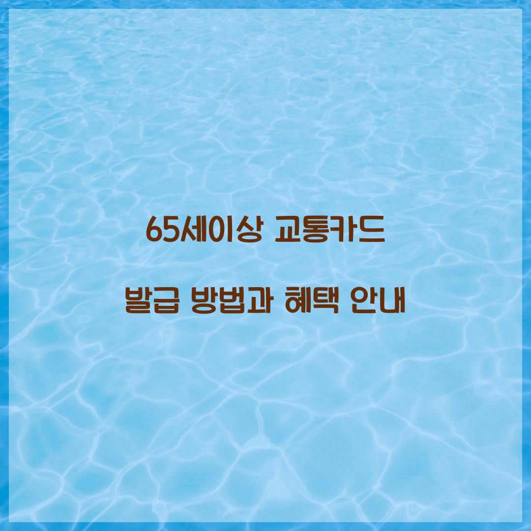 65세이상 교통카드 발급