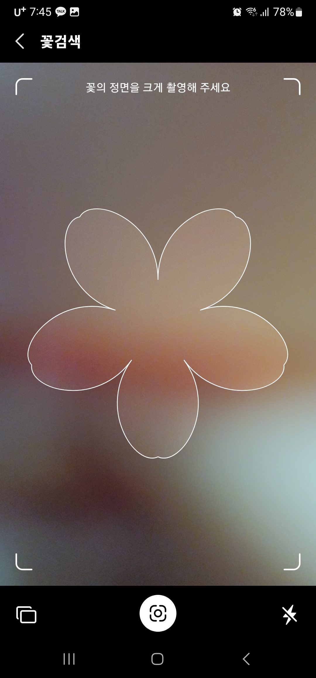 다음 꽃검색