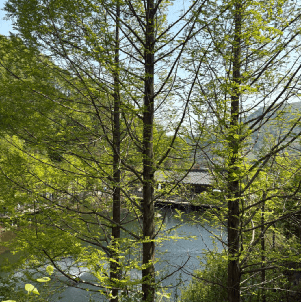 화담숲 예약 입장료 화담채