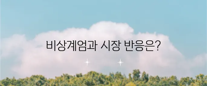 비상계엄령 시행에 따른 환율 전망과 코스피 지수에 미치는 영향 분석이 필요합니다.