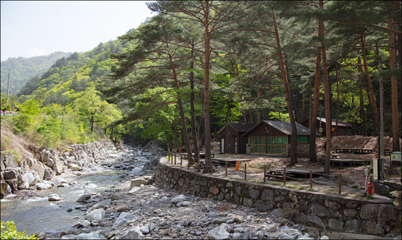 자연휴양림-경관