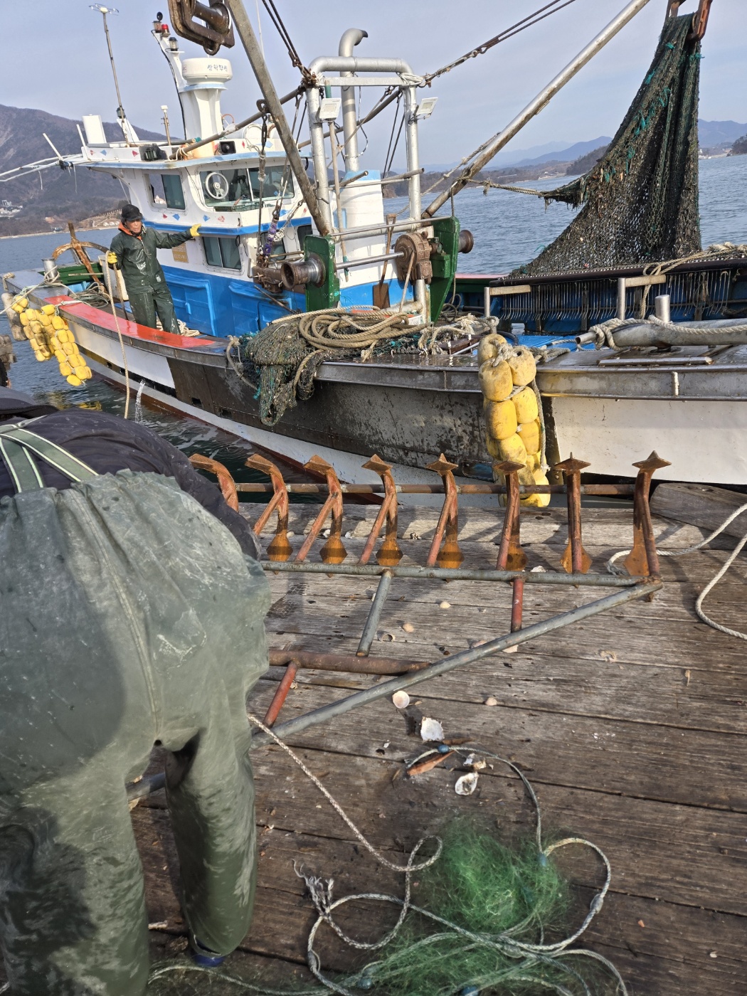 이것은 실제 저의 어장에서 청소 작업하는 사진입니다.