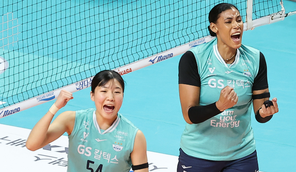 가을 프로배구경기 관전포인트 이미지