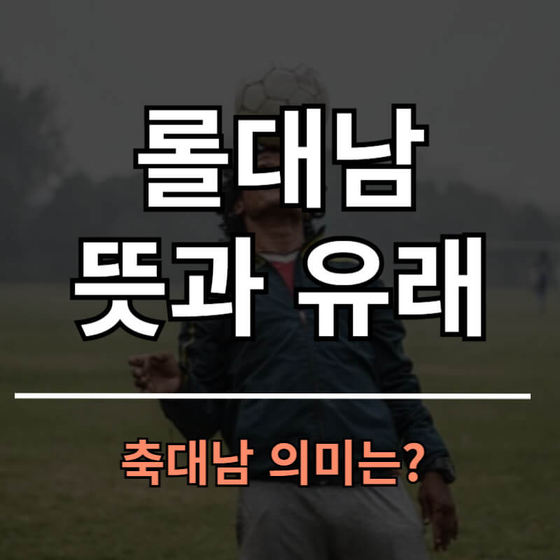 롤대남 뜻과 유래 알고 사용합시다!(축대남)