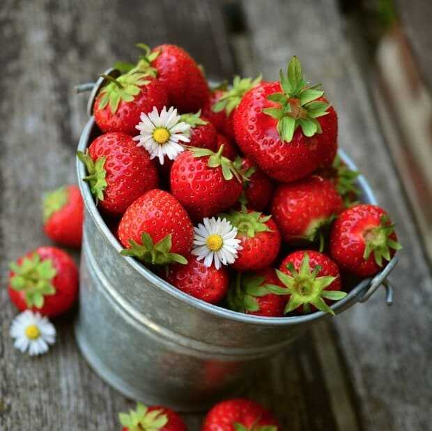 2025년 논산 딸기축제