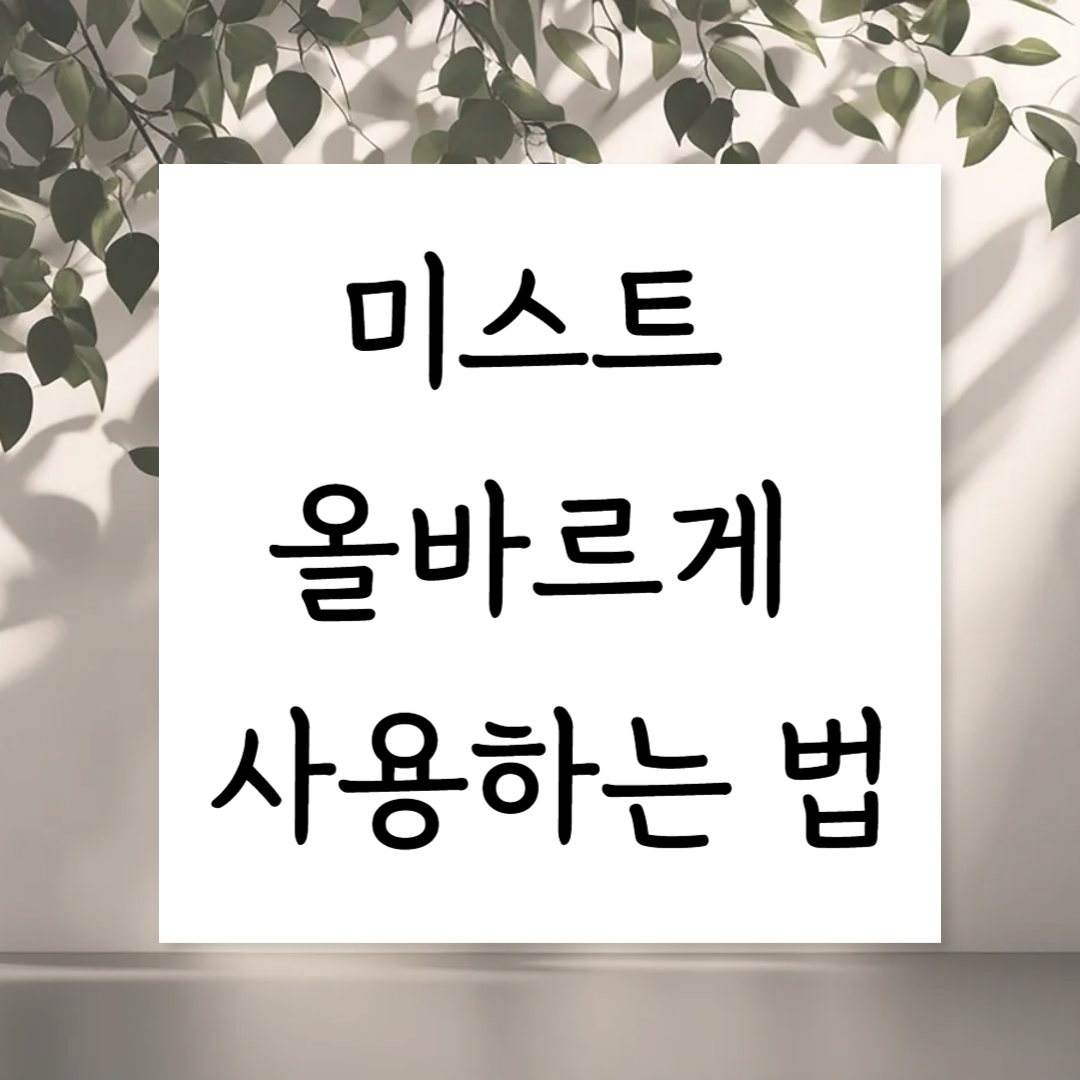 미스트 올바르게 사용하는 법