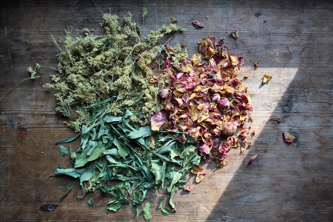 Herb