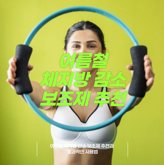 여름철 체지방 감소 보조제 추천과 효과적인 사용법