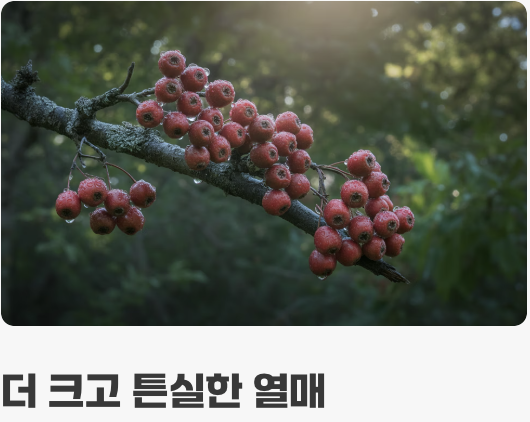 예쁜 수형을 위한 마법, 가지치기