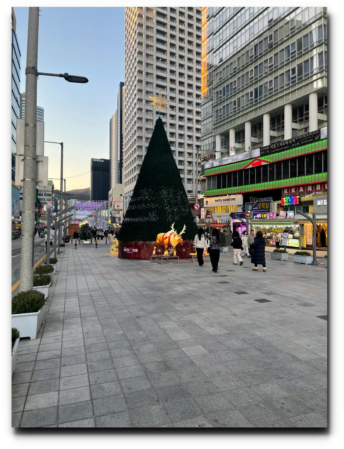 해운대-빛축제-크리스마스-트리