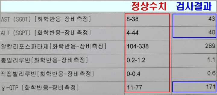 2023년-8월-간수치