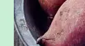 콜레스테롤 낮추는 음식