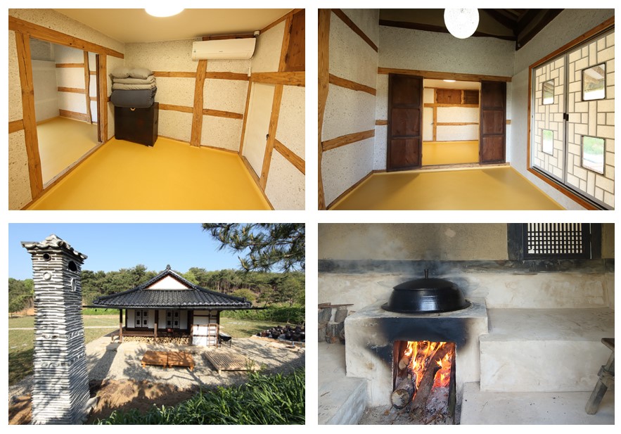 고창청농원-라벤더축제