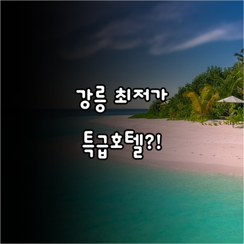 강릉 최저가 숙소 5곳 특급호텔부터 ..