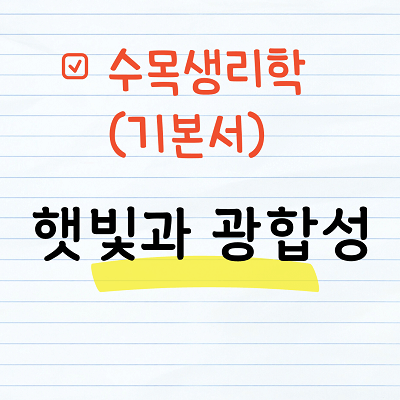 수목생리학 (햇빛과 광합성)