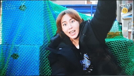효심의 독립