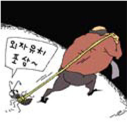지자체 포상금 및 지원 제도 관련 상징 이미지