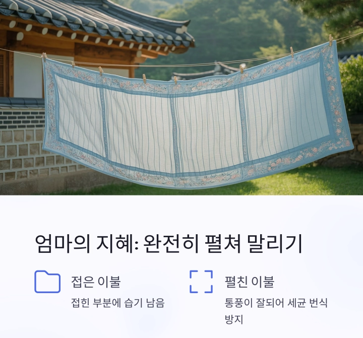 이불 소독, 햇볕만으론 부족하다 – 이불을 뒤집어 말려야 하는 과학적 이유