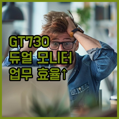GT730 그래픽 카드 듀얼 모니터