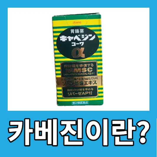 소화 불량 카베진 성분 효능 카베진 복용법 부작용 가격 일본 소화제