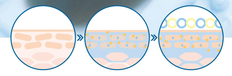 지성 피부 글리세린 수분 크림 추천
