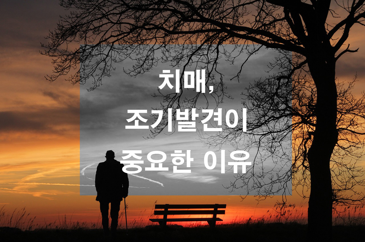 치매 조기 발견이 중요한 이유 