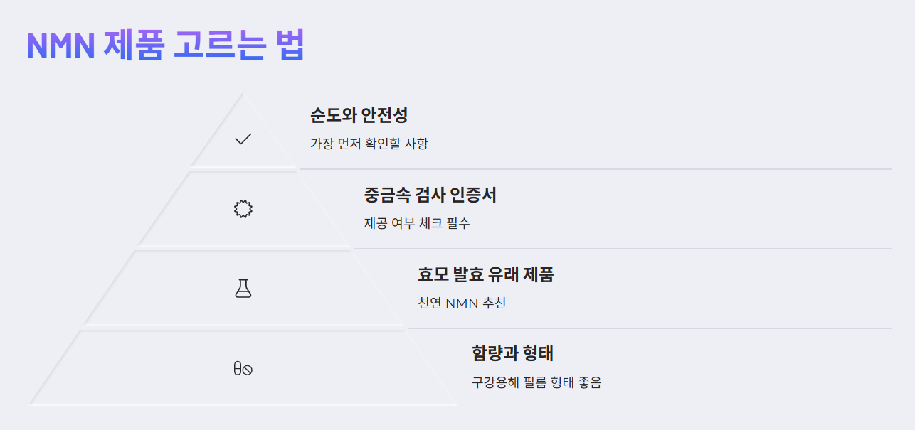 NMN 제품 고르는 법
