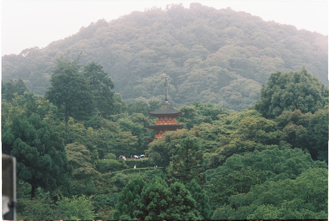 Nak-hwa-nori