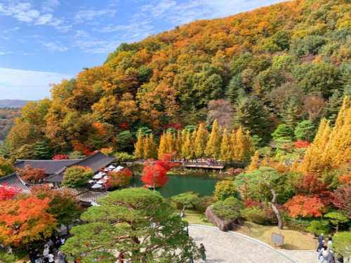 화담숲 모노레일 예약