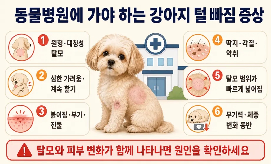 동물병원에 가야 하는 강아지 털 빠짐 증상 6가지.