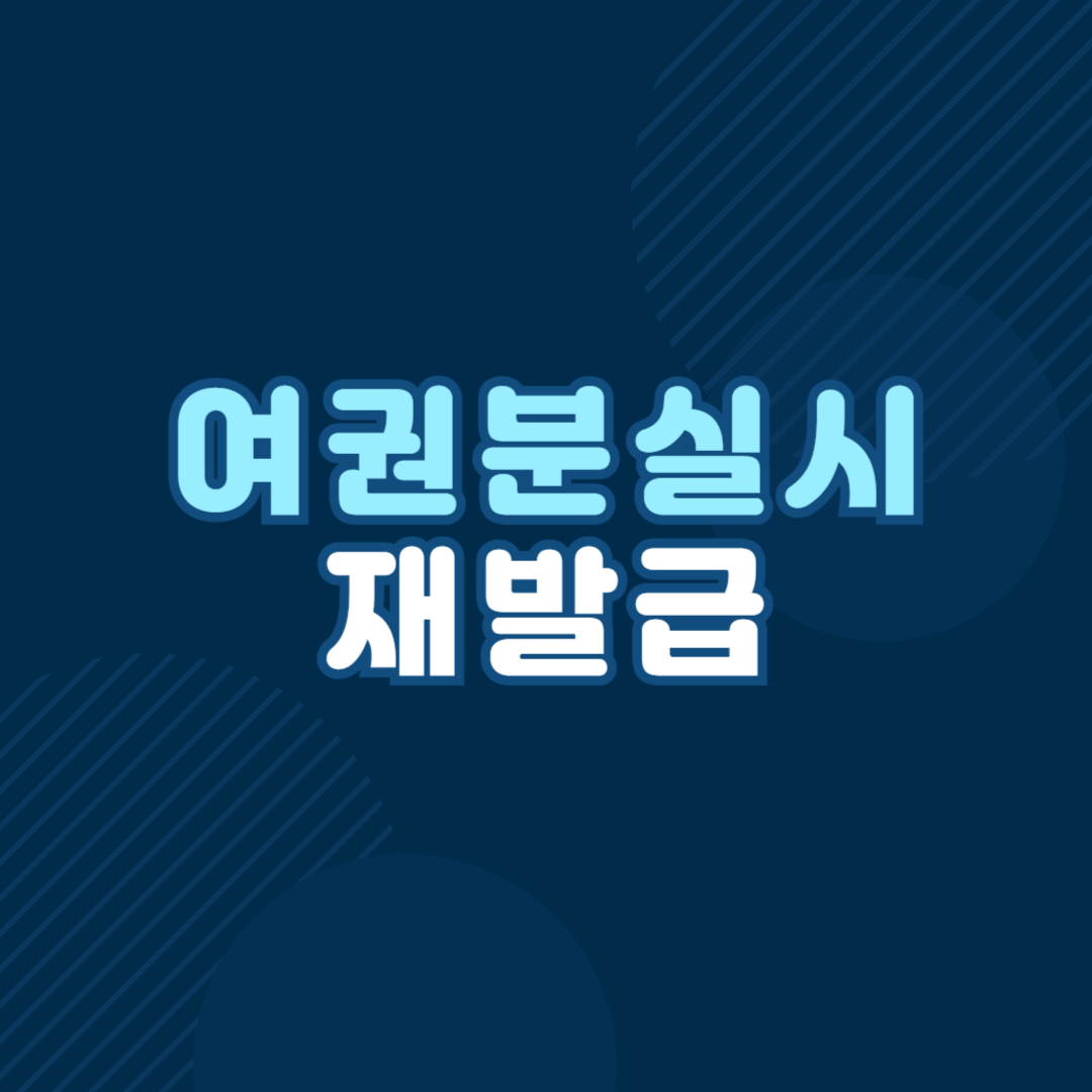 여권 분실시 재발급