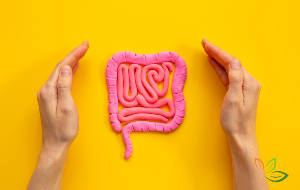 장 건강 보호를 상징하는 이미지 - 노란색 배경에 분홍색 장 모형을 두 손으로 감싸고 있는 모습 via canva