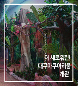 대구 아쿠아리움 입장료 할인