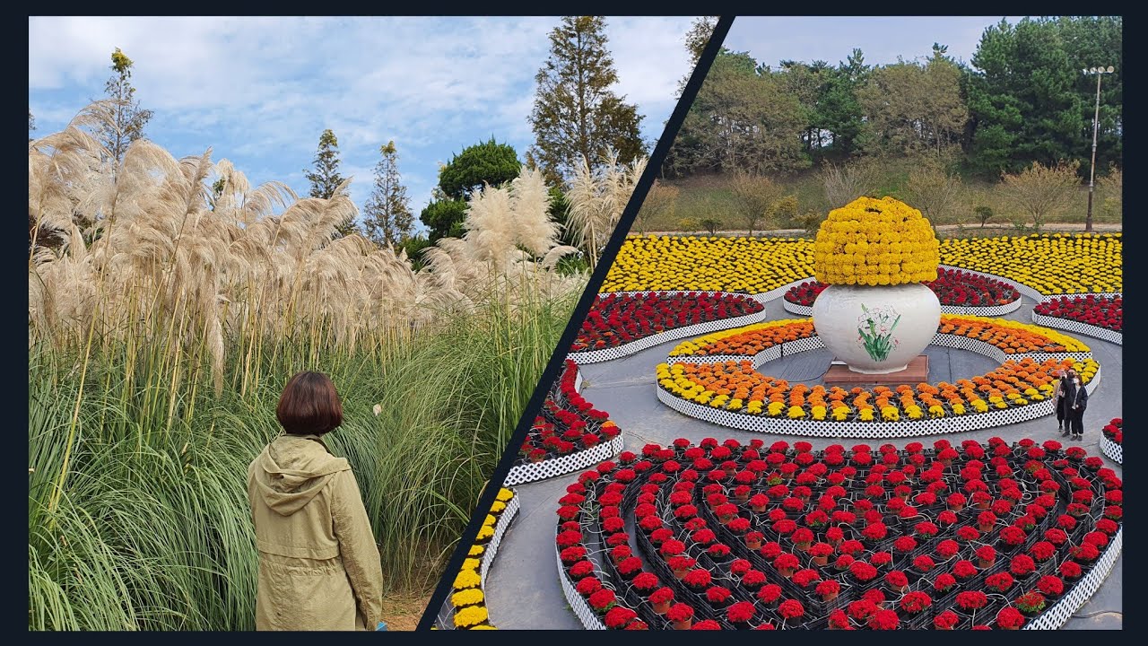 태안 청산 수목원