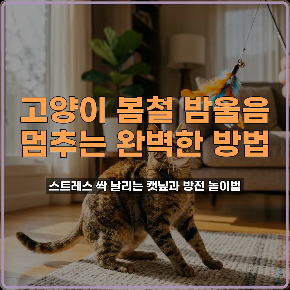 봄철밤울음