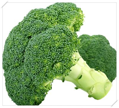 식도염 좋은 음식