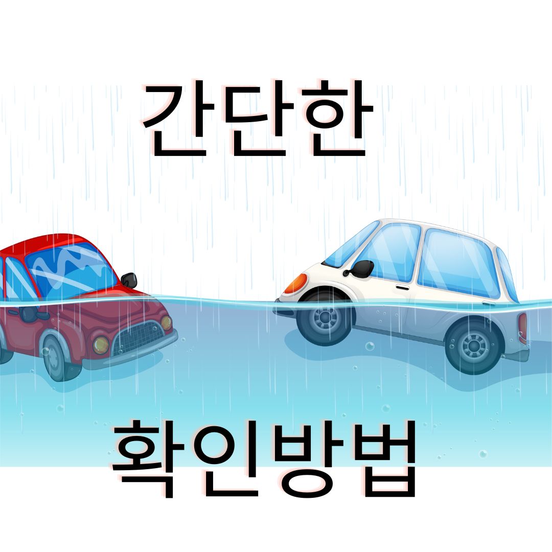 침수차 확인방법