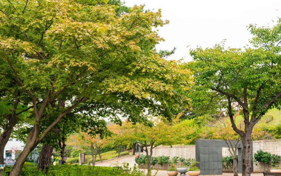 노을/명소/포항/핫플레이스/환호공원/스페이스/워크