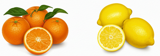 말차와 시너지 과일