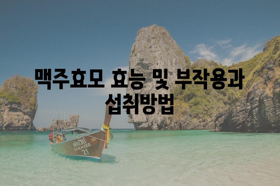 샘플 (80)