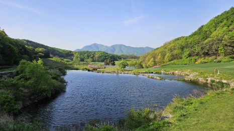 골프장 경험담 음성 레인보우힐스cc 자연미와 챌린지가 공존하는 명품 골프 코스