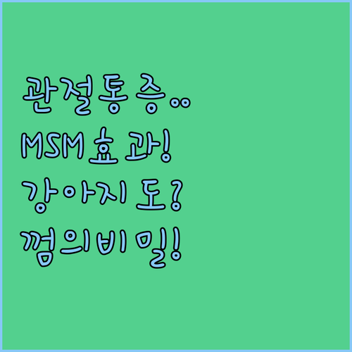무릎 손가락 마디 통증 관리용 조인트..