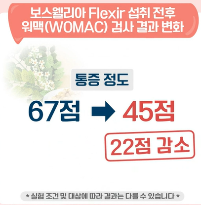 2세대 보스웰리아