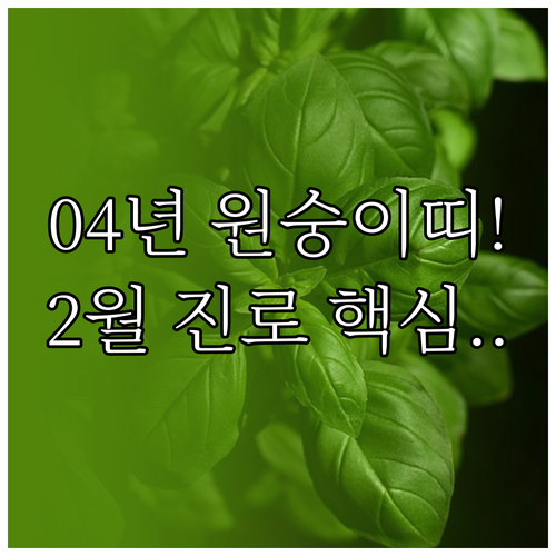 2004년생 원숭이띠 2월 운세 요약..