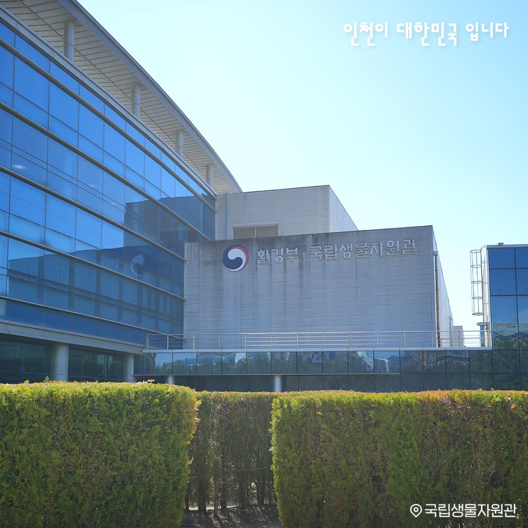 [5월 21일 방송] 오늘N 맛집 위치+여행 정보 총정리 (생방송 오늘저녁) 관련사진