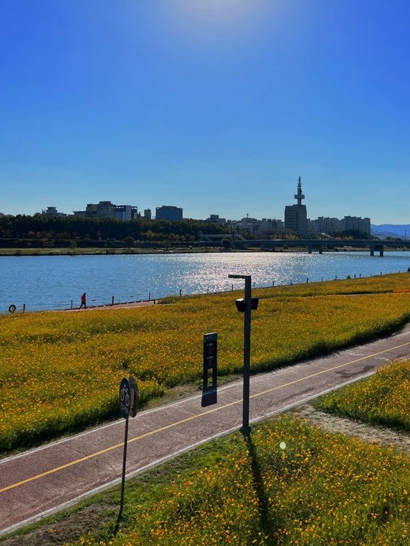 대전 맛집 추천 관련 사진