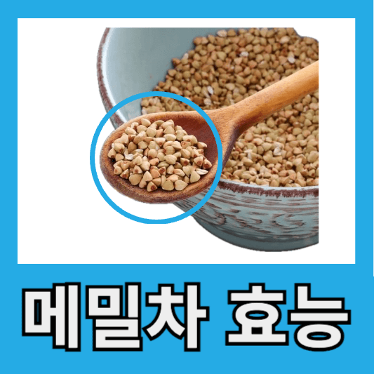 메밀차 효능