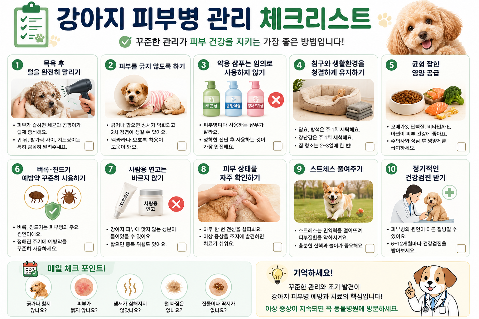 강아지 피부병 관리 체크리스트 이미지